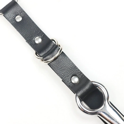 EverydayUse Anal and Collar Hook with Kinky 5853 Leash 0226